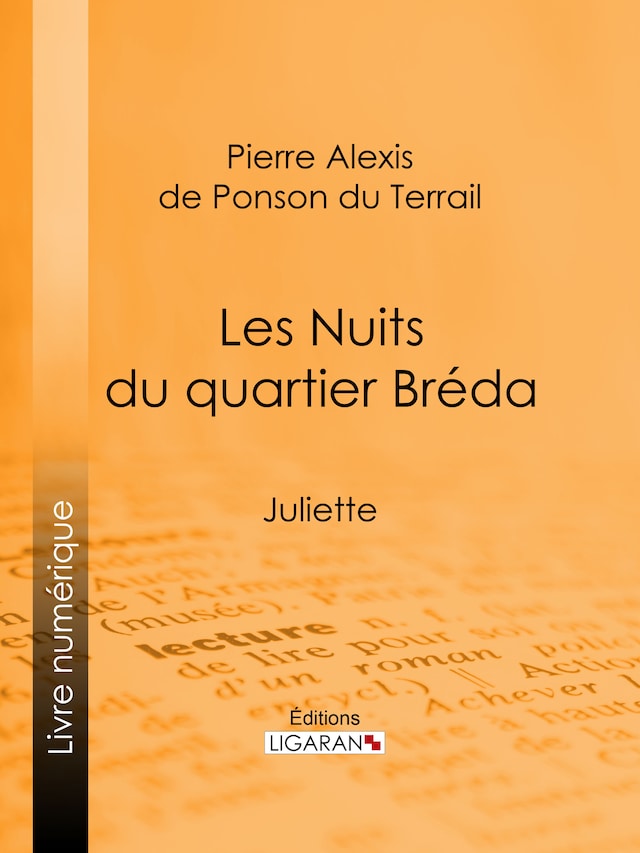 Book cover for Les Nuits du quartier Bréda