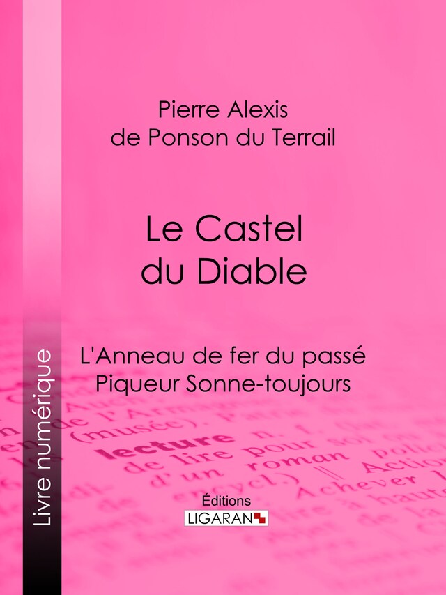 Book cover for Le Castel du Diable