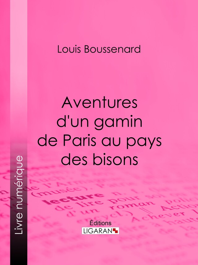 Kirjankansi teokselle Aventures d'un gamin de Paris au pays des bisons