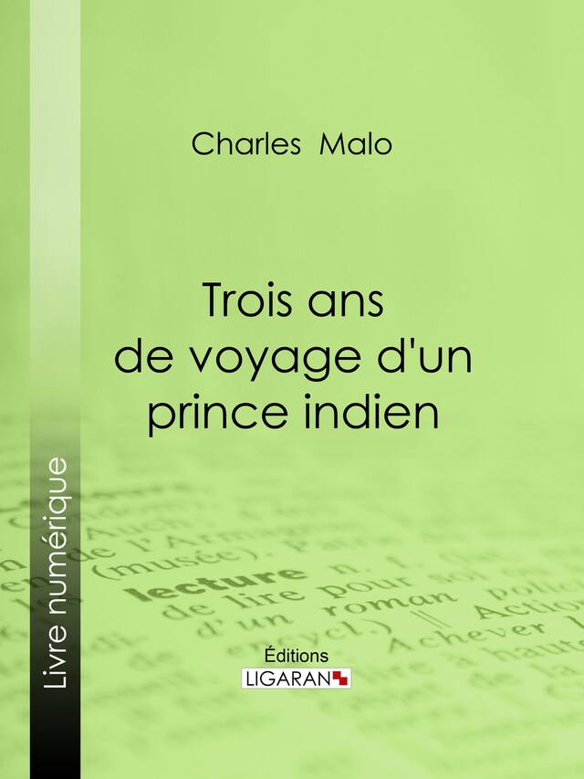 Book cover for Trois ans de voyage d'un prince indien