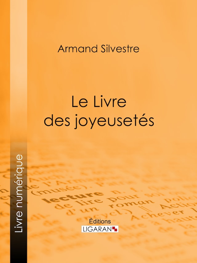 Bokomslag för Le Livre des joyeusetés