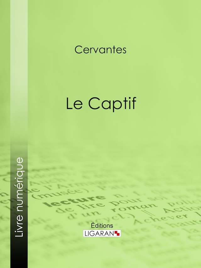 Book cover for Le Captif