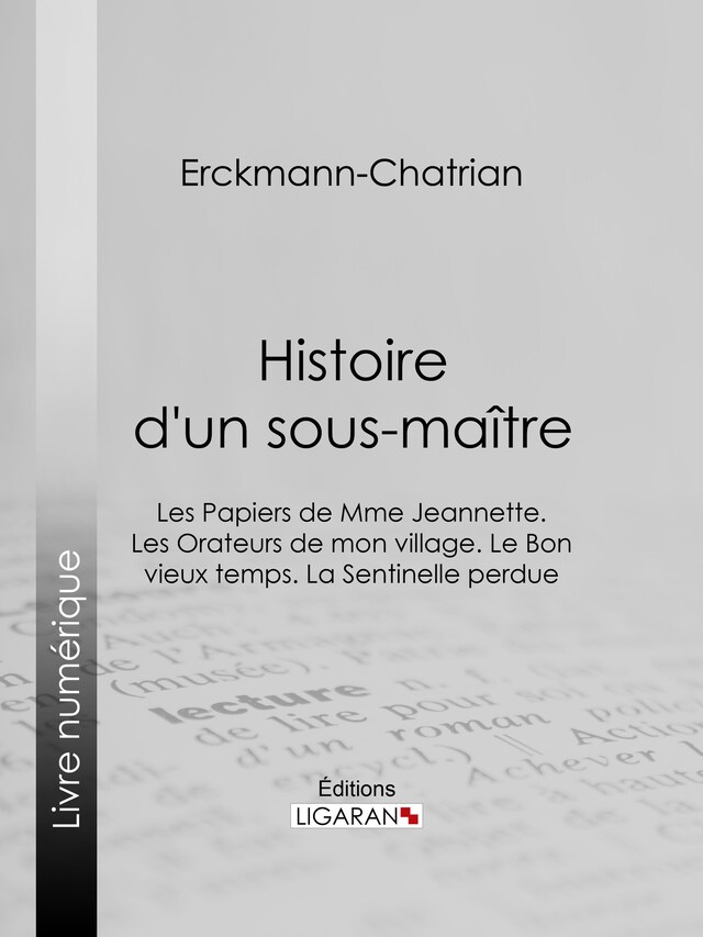 Copertina del libro per Histoire d'un sous-maître