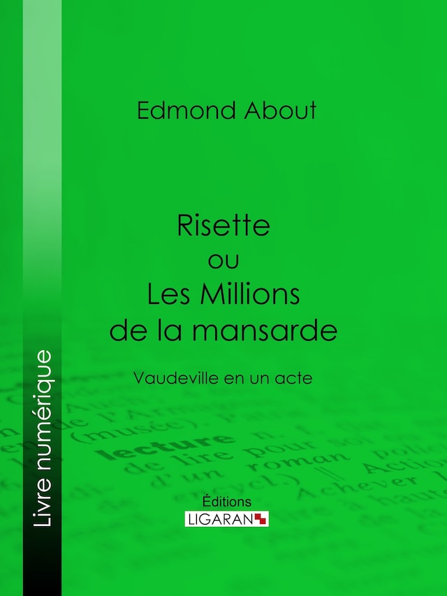 Buchcover für Risette ou Les Millions de la mansarde