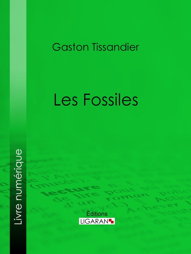 Buchcover für Les Fossiles