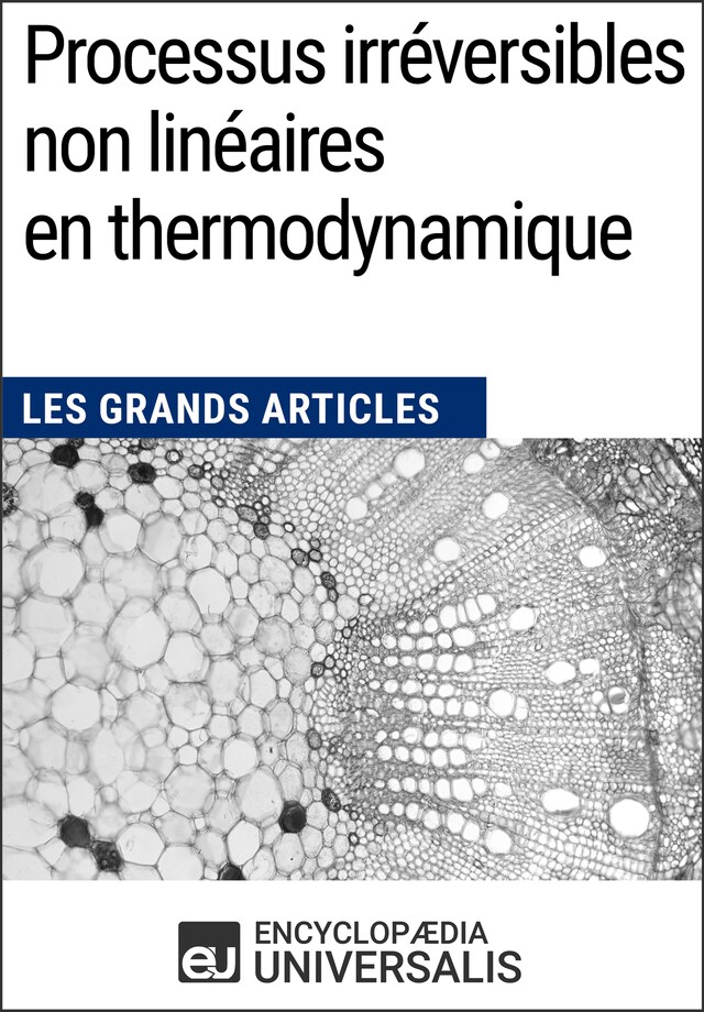 Book cover for Processus irréversibles non linéaires en thermodynamique