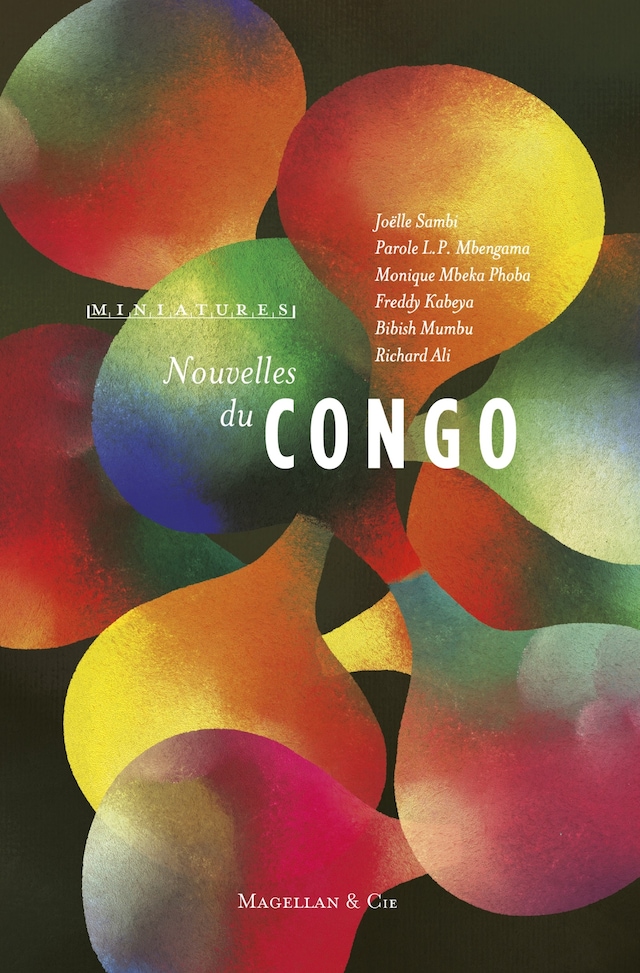 Book cover for Nouvelles du Congo