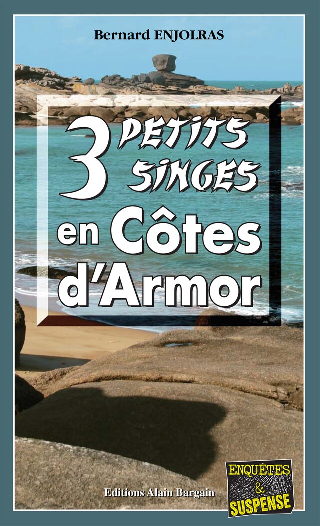 Book cover for 3 petits singes en Côte d'Armor