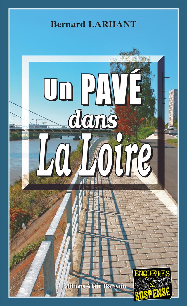 Book cover for Un Pavé dans la Loire