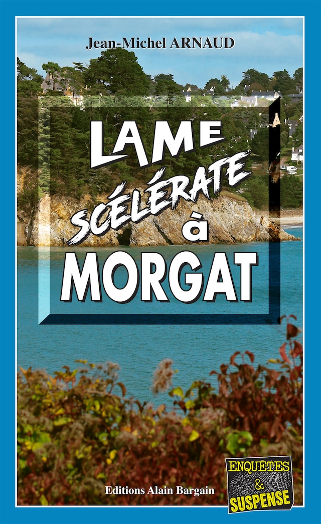 Book cover for Lame scélérate à Morgat