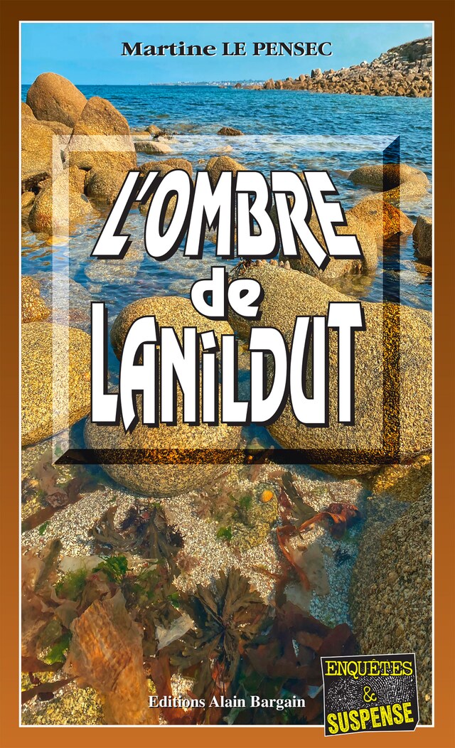 Book cover for L'ombre de Lanildut