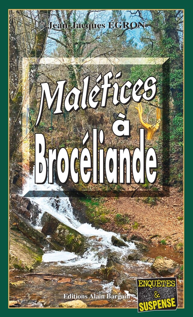 Book cover for Maléfices à Brocéliande