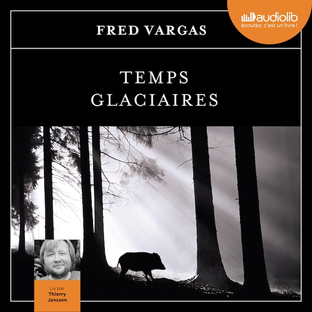 Book cover for Temps glaciaires