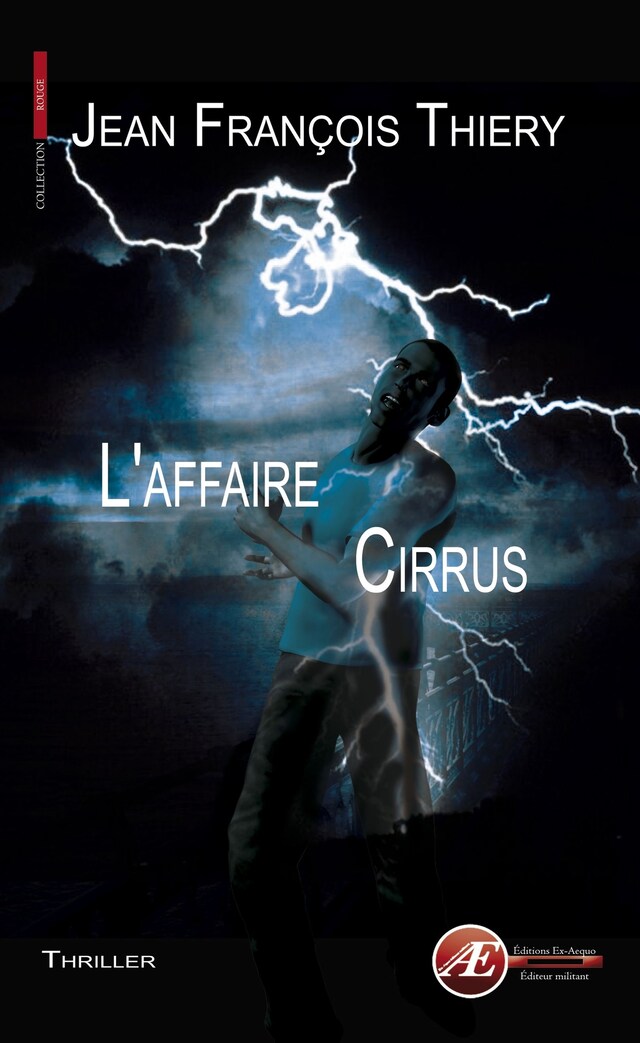 Portada de libro para L'affaire Cirrus