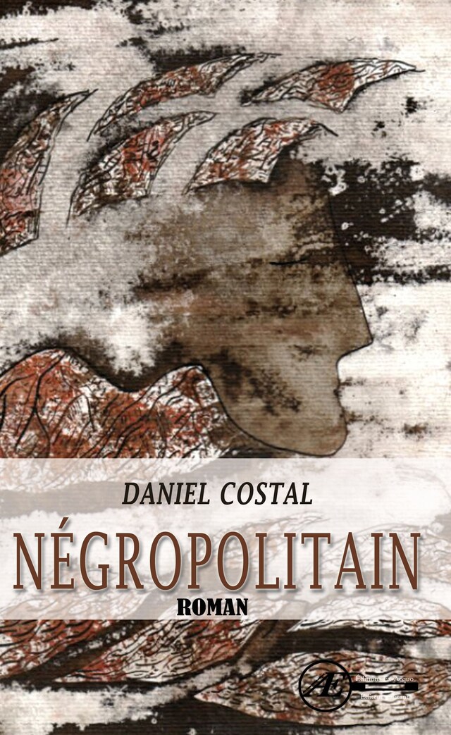 Book cover for Négropolitain