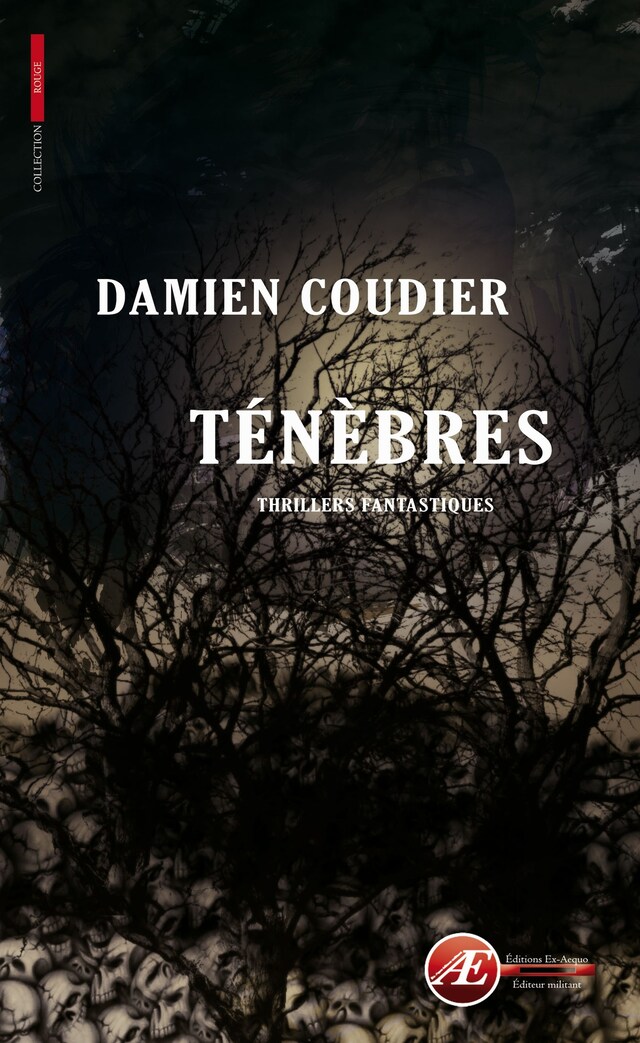 Book cover for Ténèbres