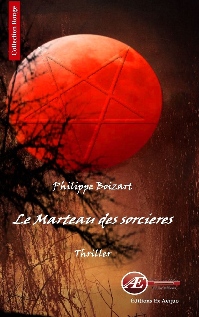 Buchcover für Le marteau des sorcières