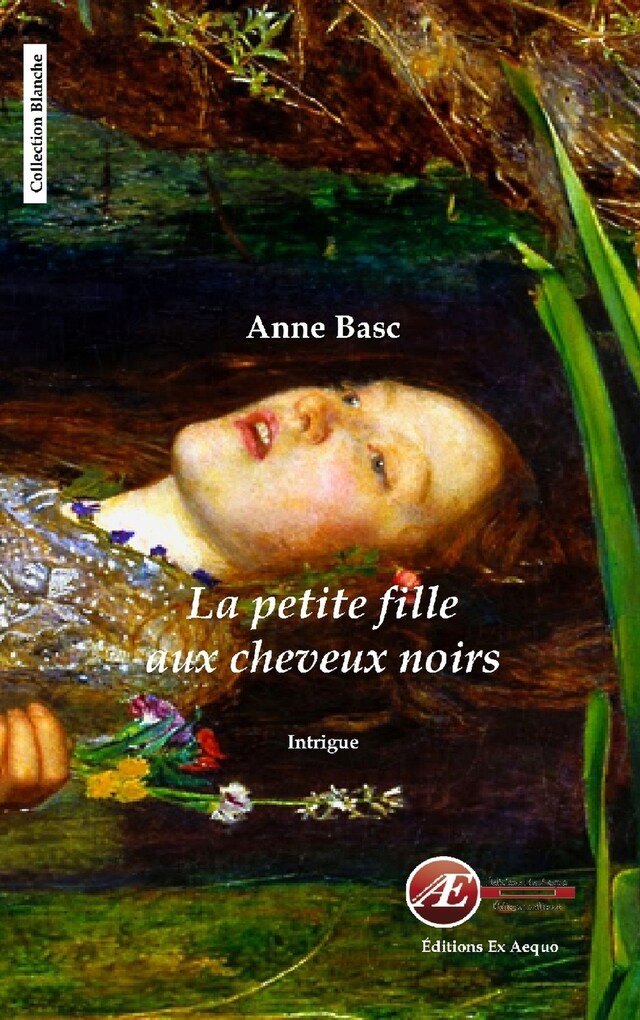 Buchcover für La petite fille aux cheveux noirs