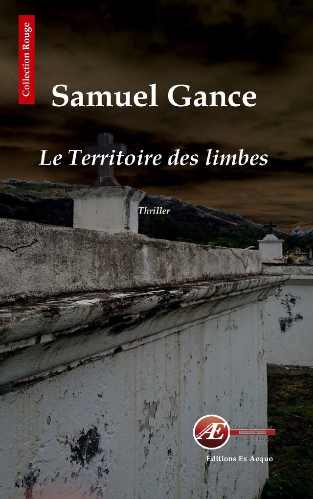 Book cover for Le territoire des limbes