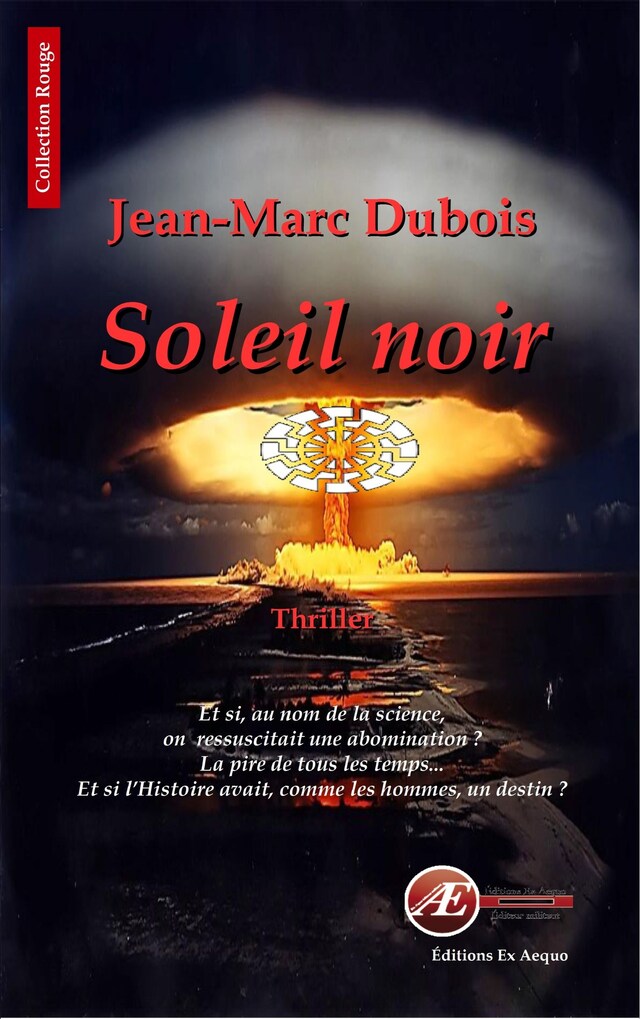 Book cover for Soleil noir