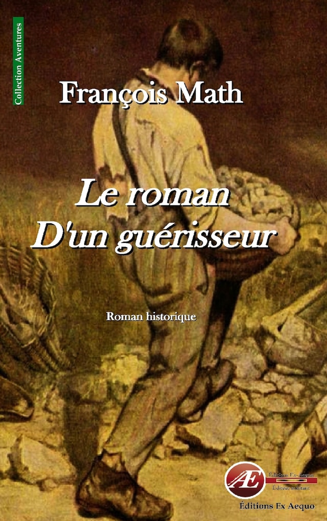 Book cover for Le roman d'un guérisseur