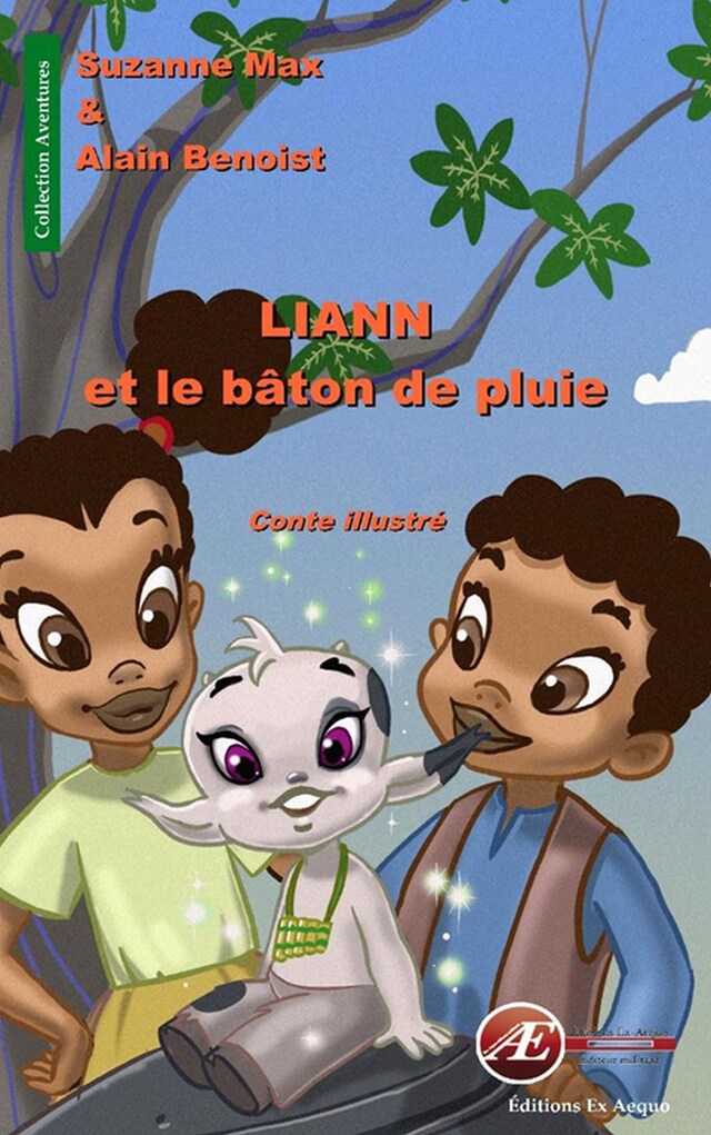 Book cover for Liann et le bâton de pluie