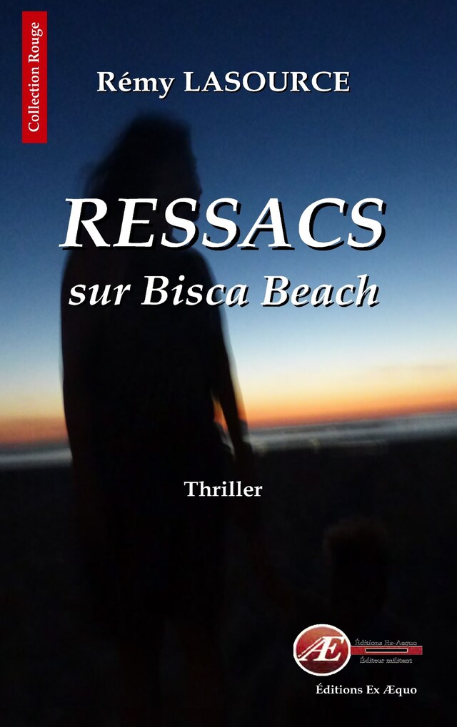 Book cover for Les chroniques policières de Biscarrosse - Tome 1