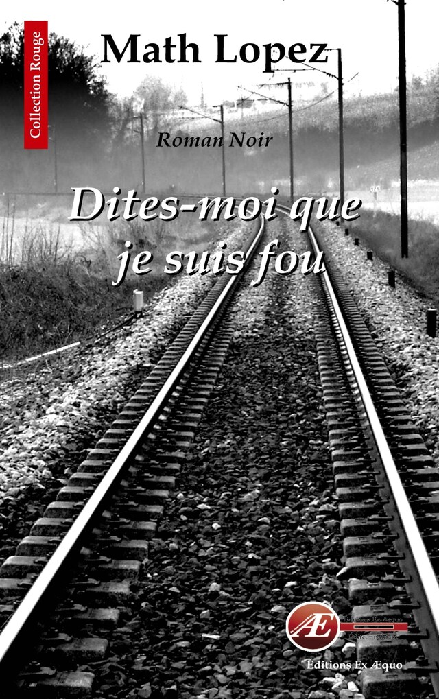 Book cover for Dites-moi que je suis fou