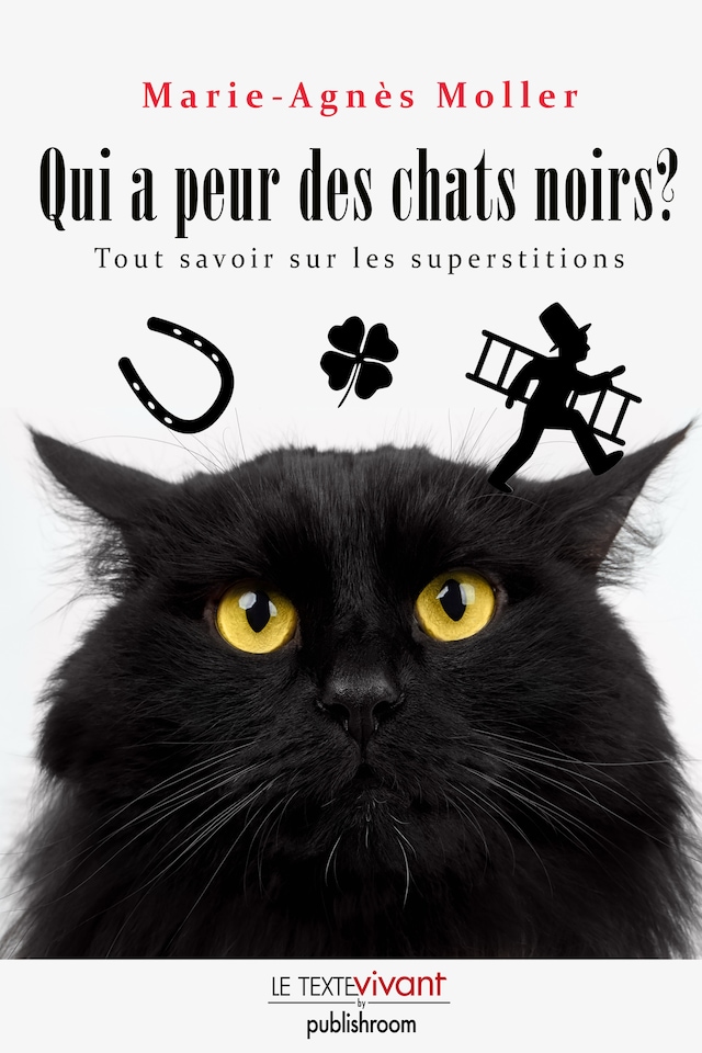 Bokomslag för Qui a peur des chats noirs ?