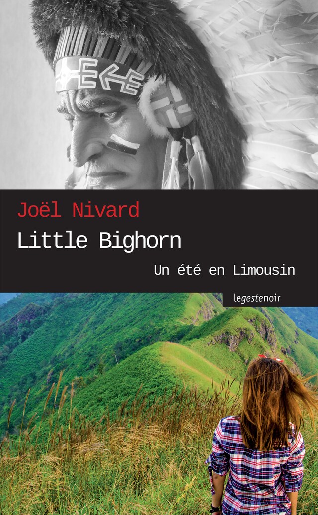 Buchcover für Little Bighorn