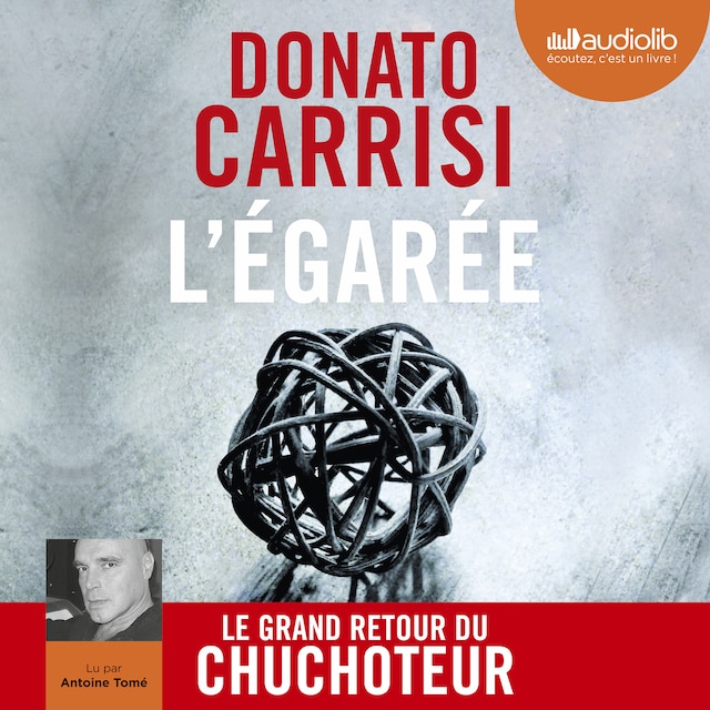 Book cover for L'Égarée