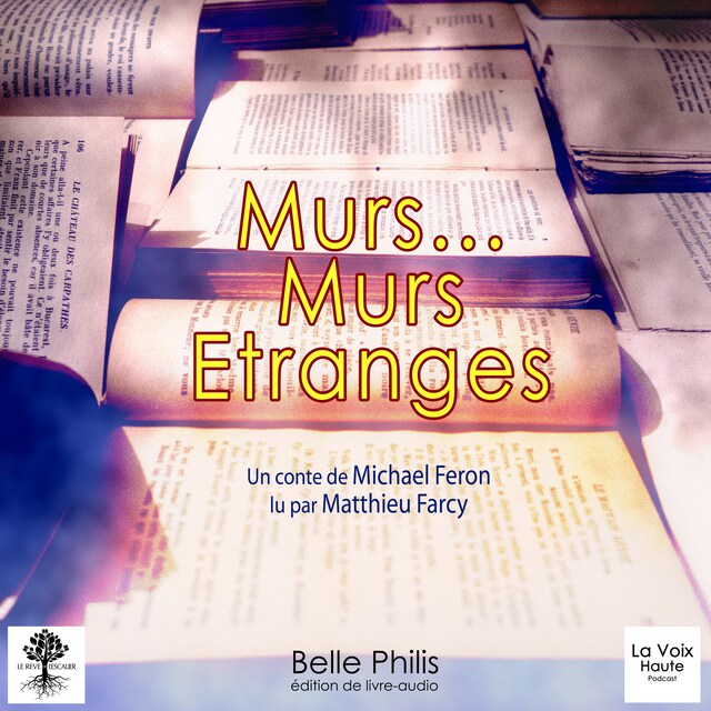 Couverture de livre pour Murs… murs étranges