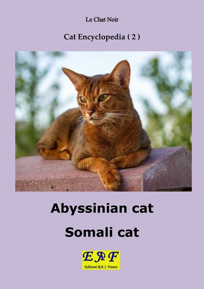 Abyssinian cat - Somali cat - E-bok - BookBeat