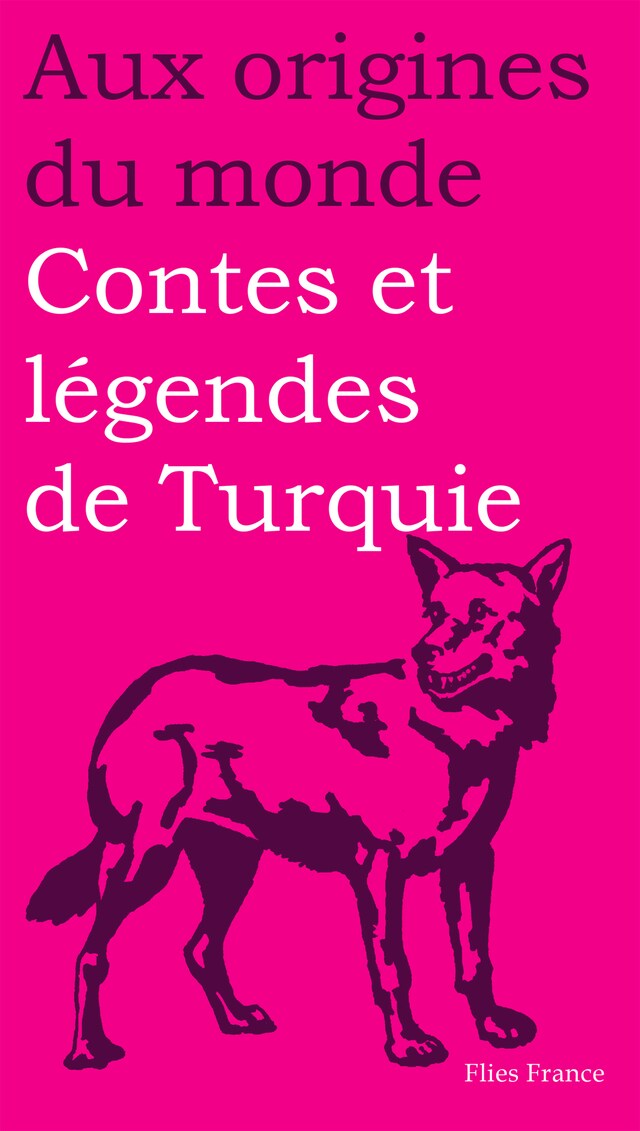 Book cover for Contes et légendes de Turquie