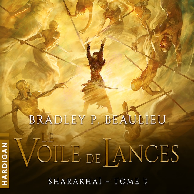 Book cover for Le Voile de lances