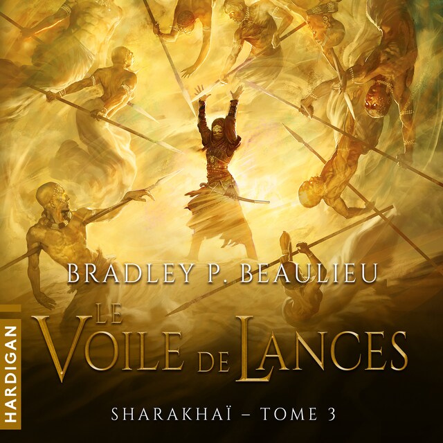 Copertina del libro per Le Voile de lances