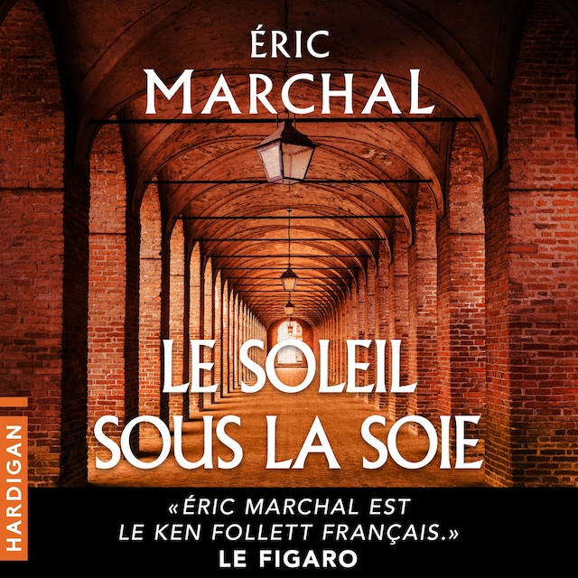 Book cover for Le Soleil sous la soie