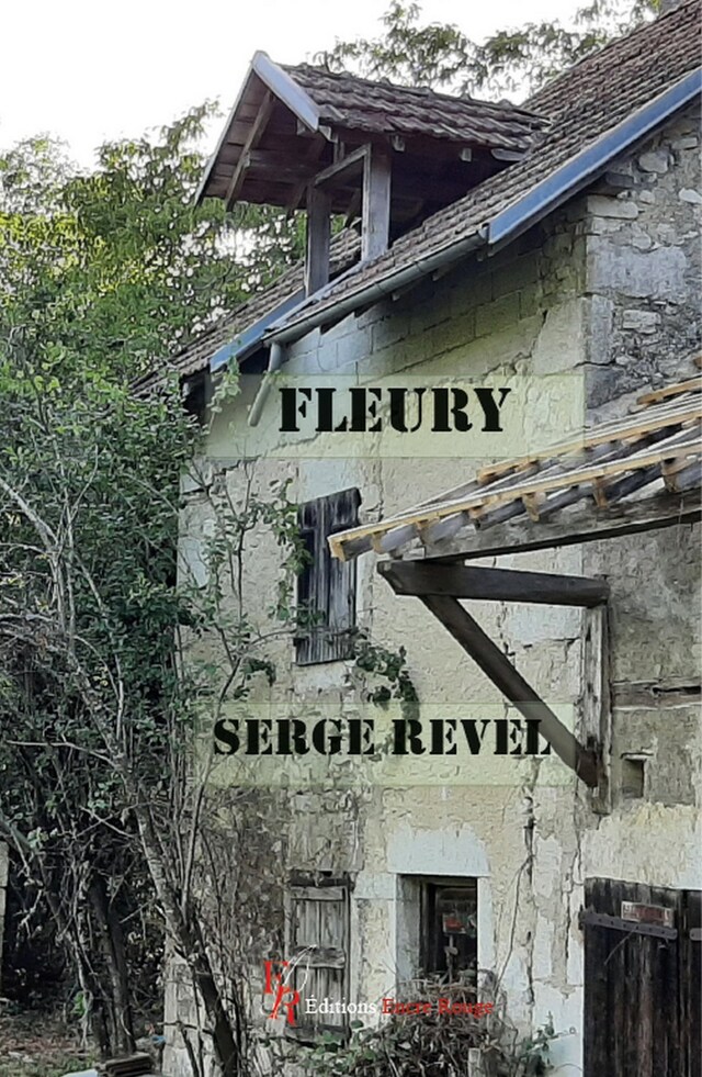 Buchcover für Fleury