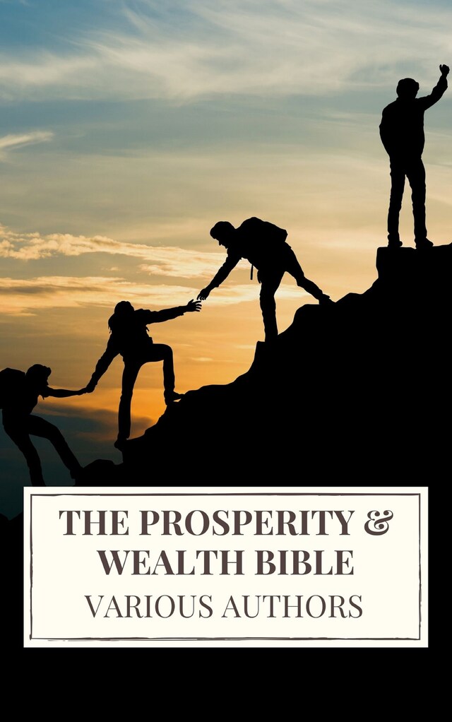 Bogomslag for The Prosperity & Wealth Bible
