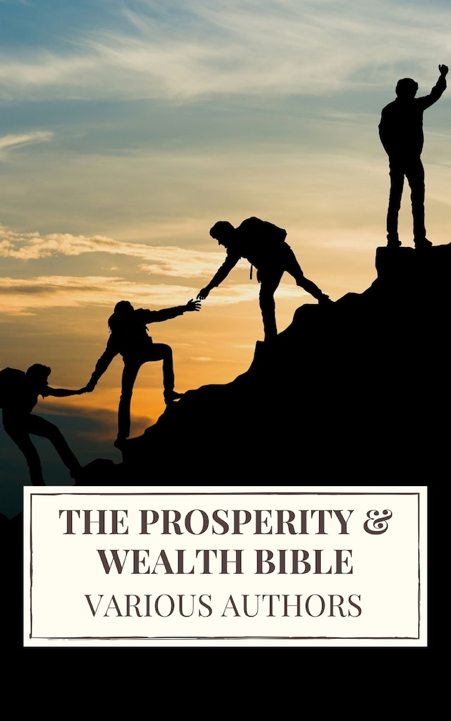 Book cover for The Prosperity & Wealth Bible