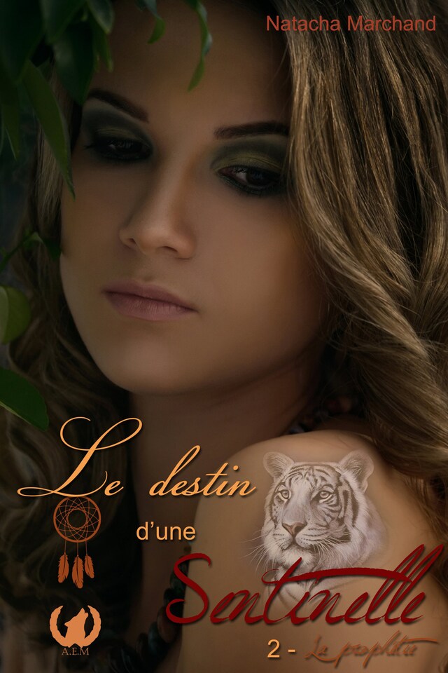 Book cover for Le destin d'une sentinelle - Tome 2