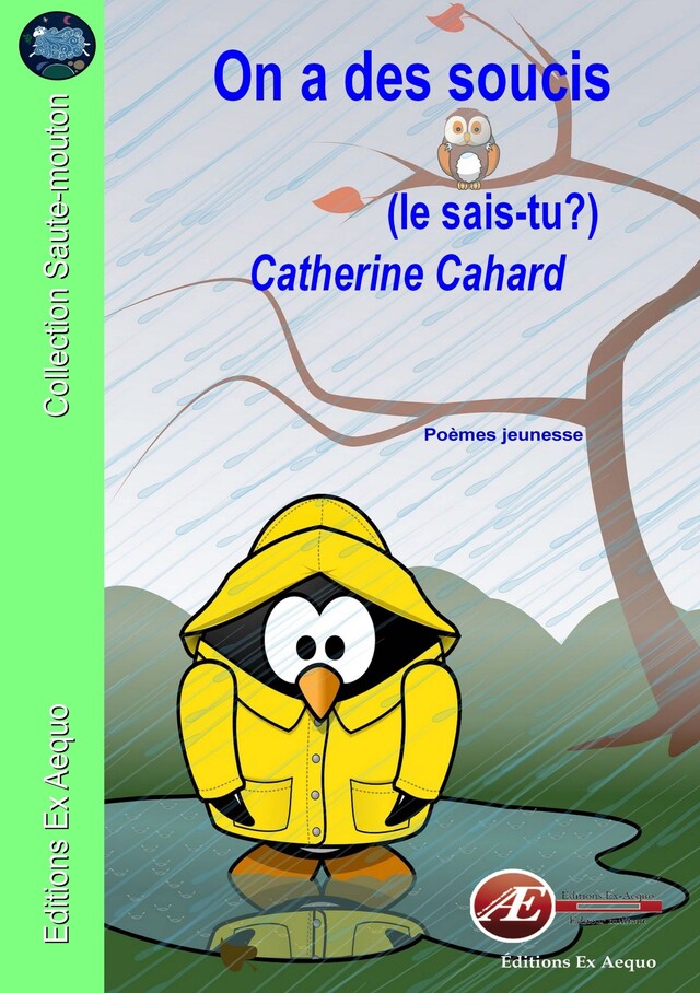 Copertina del libro per On a des soucis