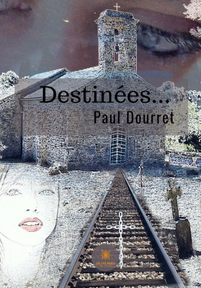 Book cover for Destinées