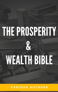 The Prosperity & Wealth Bible
