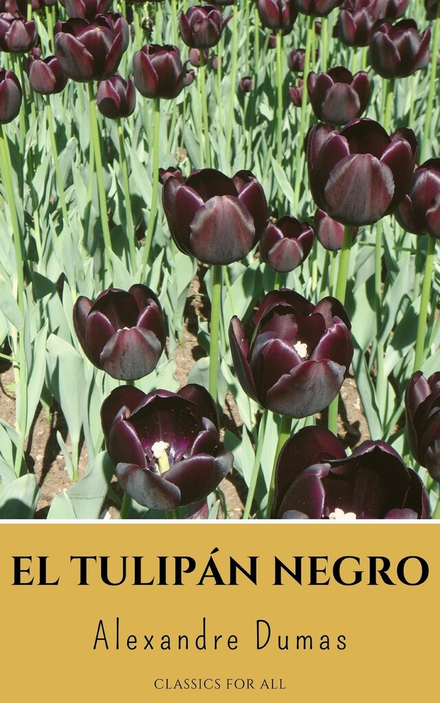 Book cover for El tulipán negro