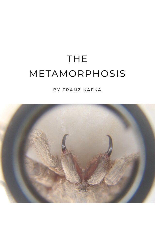 Book cover for The Metamorphosis