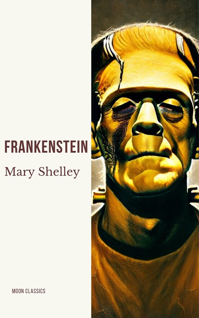 Book cover for Frankenstein