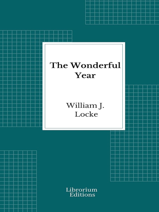 Book cover for The Wonderful Year