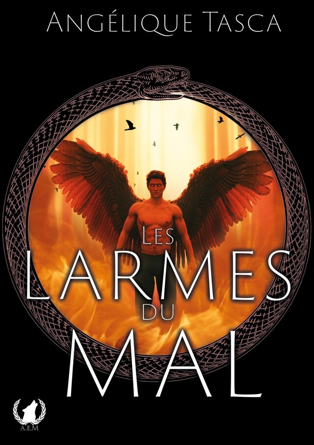 Book cover for Les larmes du mal