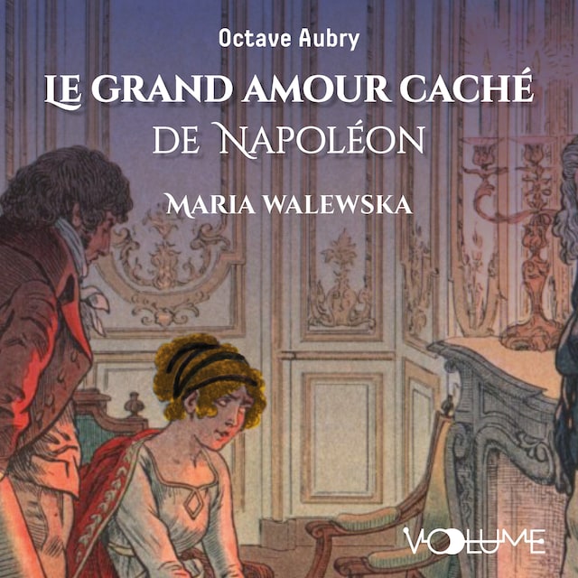 Book cover for Le Grand Amour caché de Napoléon